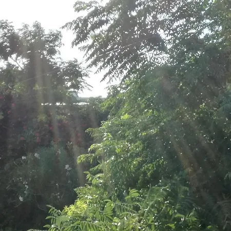 Appartement Barbat 11472b