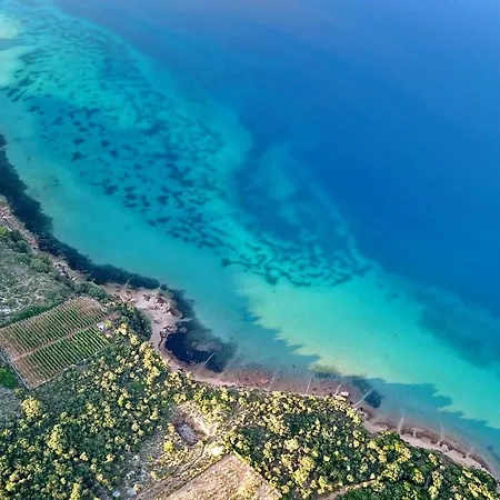 Barbat 11472b Daire *